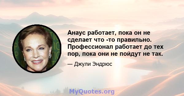 Анаус работает, пока он не сделает что -то правильно. Профессионал работает до тех пор, пока они не пойдут не так.