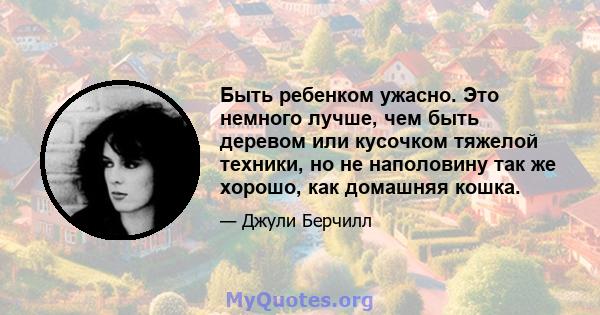 Быть ребенком ужасно. Это немного лучше, чем быть деревом или кусочком тяжелой техники, но не наполовину так же хорошо, как домашняя кошка.