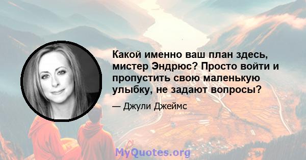 Какой именно ваш план здесь, мистер Эндрюс? Просто войти и пропустить свою маленькую улыбку, не задают вопросы?