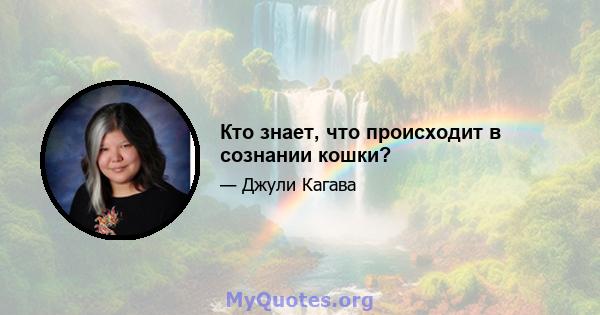 Кто знает, что происходит в сознании кошки?