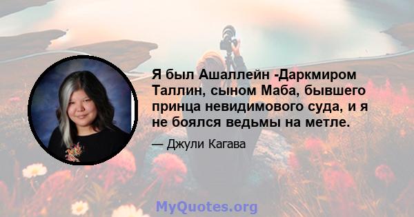 Я был Ашаллейн -Даркмиром Таллин, сыном Маба, бывшего принца невидимового суда, и я не боялся ведьмы на метле.