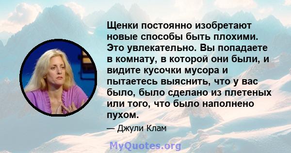 Щенки постоянно изобретают новые способы быть плохими. Это увлекательно. Вы попадаете в комнату, в которой они были, и видите кусочки мусора и пытаетесь выяснить, что у вас было, было сделано из плетеных или того, что