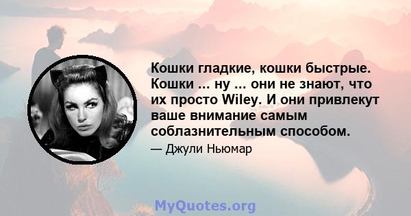 Кошки гладкие, кошки быстрые. Кошки ... ну ... они не знают, что их просто Wiley. И они привлекут ваше внимание самым соблазнительным способом.