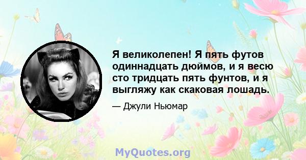 Я великолепен! Я пять футов одиннадцать дюймов, и я весю сто тридцать пять фунтов, и я выгляжу как скаковая лошадь.