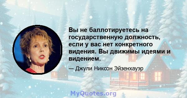 Вы не баллотируетесь на государственную должность, если у вас нет конкретного видения. Вы движимы идеями и видением.