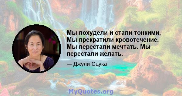 Мы похудели и стали тонкими. Мы прекратили кровотечение. Мы перестали мечтать. Мы перестали желать.