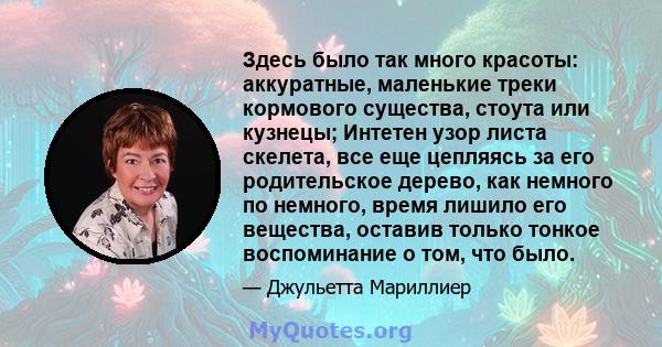 Здесь было так много красоты: аккуратные, маленькие треки кормового существа, стоута или кузнецы; Интетен узор листа скелета, все еще цепляясь за его родительское дерево, как немного по немного, время лишило его