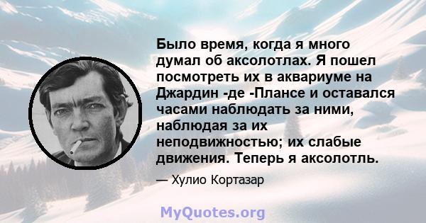 Было время, когда я много думал об аксолотлах. Я пошел посмотреть их в аквариуме на Джардин -де -Плансе и оставался часами наблюдать за ними, наблюдая за их неподвижностью; их слабые движения. Теперь я аксолотль.