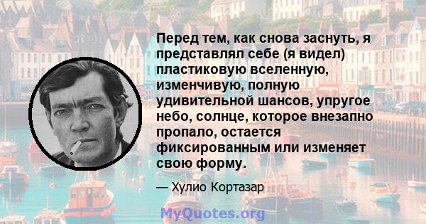 Перед тем, как снова заснуть, я представлял себе (я видел) пластиковую вселенную, изменчивую, полную удивительной шансов, упругое небо, солнце, которое внезапно пропало, остается фиксированным или изменяет свою форму.