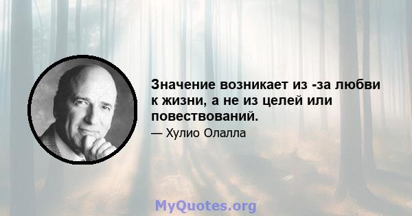 Значение возникает из -за любви к жизни, а не из целей или повествований.