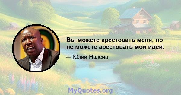 Вы можете арестовать меня, но не можете арестовать мои идеи.