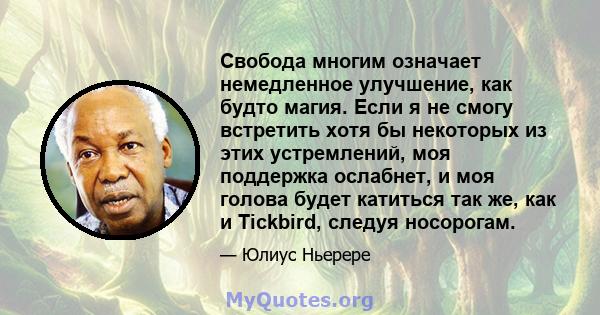 Свобода многим означает немедленное улучшение, как будто магия. Если я не смогу встретить хотя бы некоторых из этих устремлений, моя поддержка ослабнет, и моя голова будет катиться так же, как и Tickbird, следуя