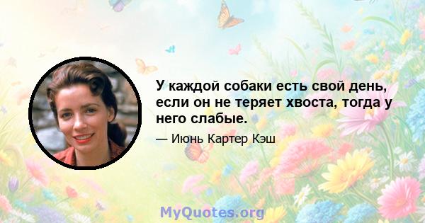 У каждой собаки есть свой день, если он не теряет хвоста, тогда у него слабые.