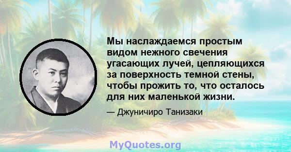 Мы наслаждаемся простым видом нежного свечения угасающих лучей, цепляющихся за поверхность темной стены, чтобы прожить то, что осталось для них маленькой жизни.