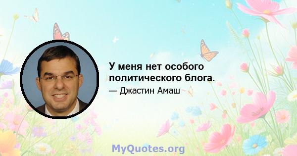 У меня нет особого политического блога.