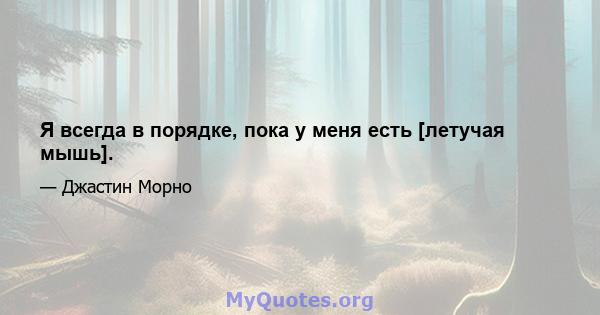 Я всегда в порядке, пока у меня есть [летучая мышь].