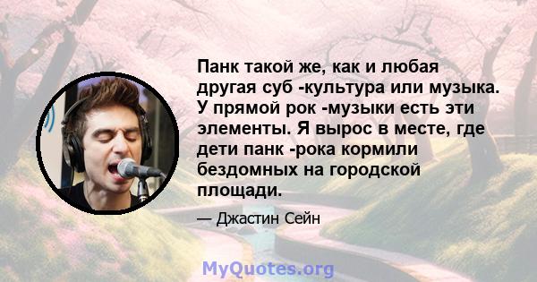 Панк такой же, как и любая другая суб -культура или музыка. У прямой рок -музыки есть эти элементы. Я вырос в месте, где дети панк -рока кормили бездомных на городской площади.