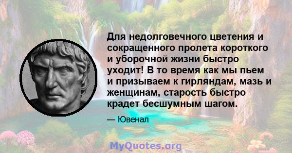 Для недолговечного цветения и сокращенного пролета короткого и уборочной жизни быстро уходит! В то время как мы пьем и призываем к гирляндам, мазь и женщинам, старость быстро крадет бесшумным шагом.