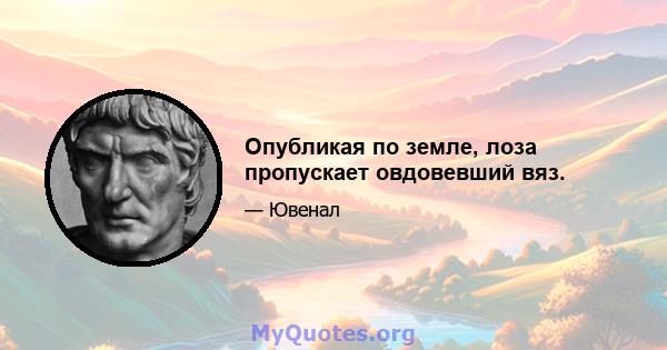 Опубликая по земле, лоза пропускает овдовевший вяз.