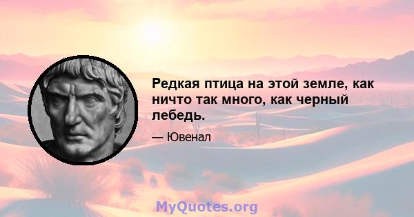 Редкая птица на этой земле, как ничто так много, как черный лебедь.