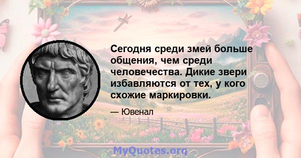 Сегодня среди змей больше общения, чем среди человечества. Дикие звери избавляются от тех, у кого схожие маркировки.