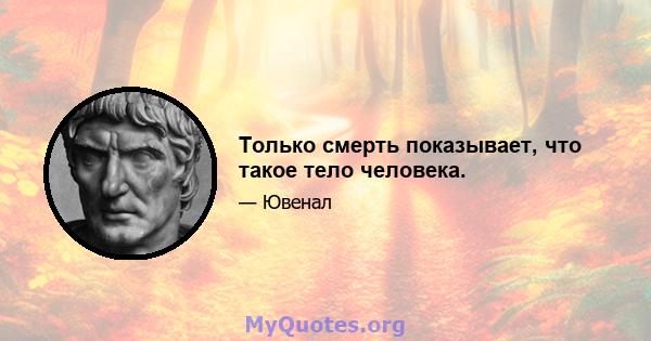 Только смерть показывает, что такое тело человека.