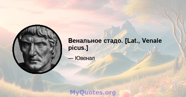 Венальное стадо. [Lat., Venale picus.]