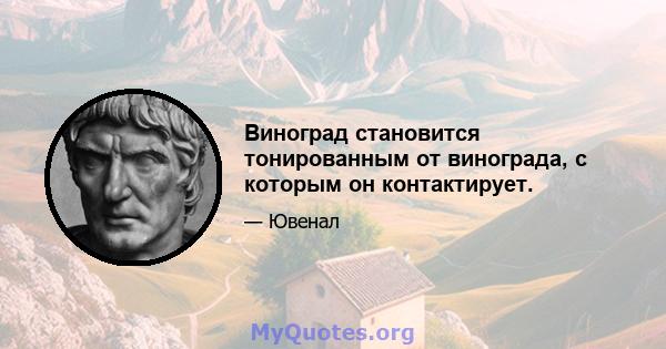 Виноград становится тонированным от винограда, с которым он контактирует.