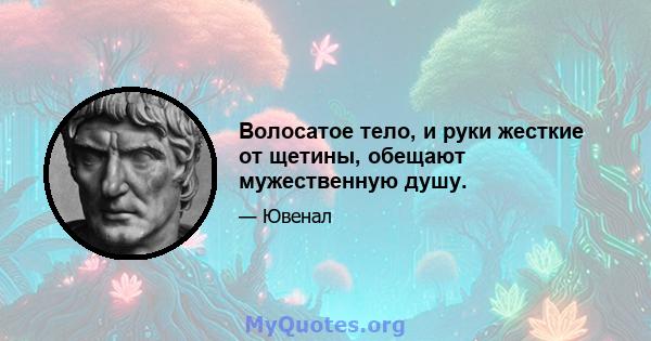 Волосатое тело, и руки жесткие от щетины, обещают мужественную душу.