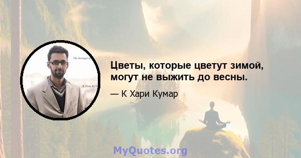 Цветы, которые цветут зимой, могут не выжить до весны.