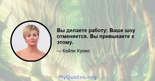 Вы делаете работу; Ваше шоу отменяется. Вы привыкаете к этому.