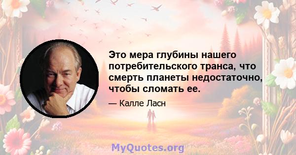 Это мера глубины нашего потребительского транса, что смерть планеты недостаточно, чтобы сломать ее.