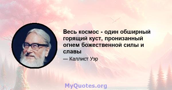 Весь космос - один обширный горящий куст, пронизанный огнем божественной силы и славы