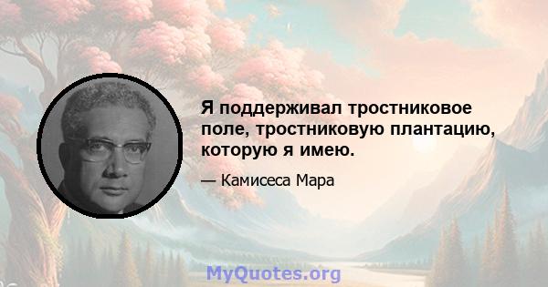 Я поддерживал тростниковое поле, тростниковую плантацию, которую я имею.