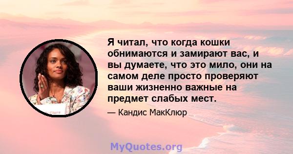 Я читал, что когда кошки обнимаются и замирают вас, и вы думаете, что это мило, они на самом деле просто проверяют ваши жизненно важные на предмет слабых мест.