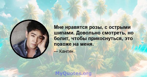 Мне нравятся розы, с острыми шипами. Довольно смотреть, но болит, чтобы прикоснуться, это похоже на меня.