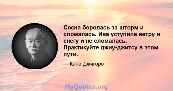 Сосна боролась за шторм и сломалась. Ива уступила ветру и снегу и не сломалась. Практикуйте джиу-джитсу в этом пути.