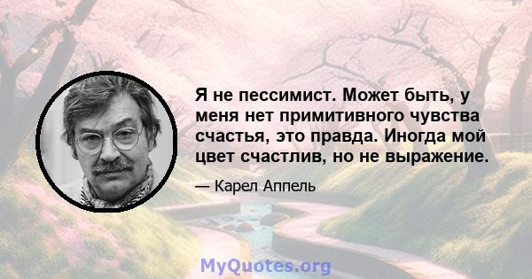 Я не пессимист. Может быть, у меня нет примитивного чувства счастья, это правда. Иногда мой цвет счастлив, но не выражение.