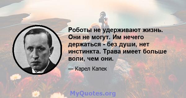 Роботы не удерживают жизнь. Они не могут. Им нечего держаться - без души, нет инстинкта. Трава имеет больше воли, чем они.