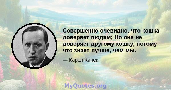 Совершенно очевидно, что кошка доверяет людям; Но она не доверяет другому кошку, потому что знает лучше, чем мы.