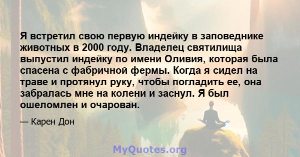 Я встретил свою первую индейку в заповеднике животных в 2000 году. Владелец святилища выпустил индейку по имени Оливия, которая была спасена с фабричной фермы. Когда я сидел на траве и протянул руку, чтобы погладить ее, 