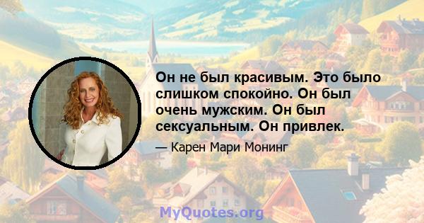 Он не был красивым. Это было слишком спокойно. Он был очень мужским. Он был сексуальным. Он привлек.