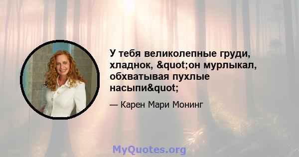 У тебя великолепные груди, хладнок, "он мурлыкал, обхватывая пухлые насыпи"