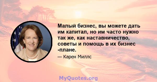 Малый бизнес, вы можете дать им капитал, но им часто нужно так же, как наставничество, советы и помощь в их бизнес -плане.