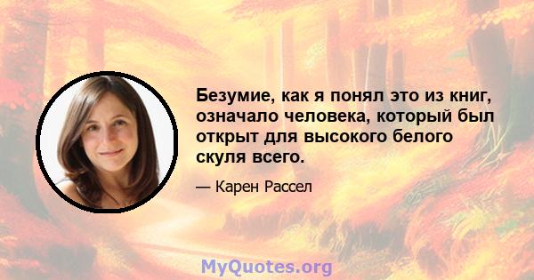 Безумие, как я понял это из книг, означало человека, который был открыт для высокого белого скуля всего.