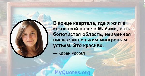 В конце квартала, где я жил в кокосовой роще в Майами, есть болотистая область, неименная ниша с маленьким мангровым устьем. Это красиво.