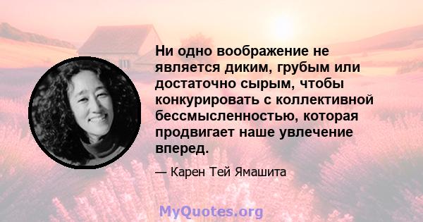 Ни одно воображение не является диким, грубым или достаточно сырым, чтобы конкурировать с коллективной бессмысленностью, которая продвигает наше увлечение вперед.