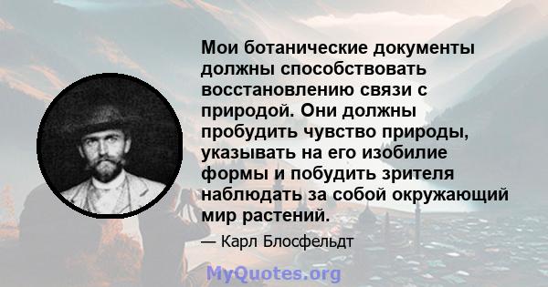 Мои ботанические документы должны способствовать восстановлению связи с природой. Они должны пробудить чувство природы, указывать на его изобилие формы и побудить зрителя наблюдать за собой окружающий мир растений.