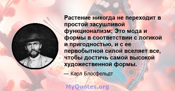 Растение никогда не переходит в простой засушливой функционализм; Это мода и формы в соответствии с логикой и пригодностью, и с ее первобытной силой вселяет все, чтобы достичь самой высокой художественной формы.