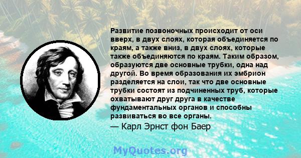 Развитие позвоночных происходит от оси вверх, в двух слоях, которая объединяется по краям, а также вниз, в двух слоях, которые также объединяются по краям. Таким образом, образуются две основные трубки, одна над другой. 